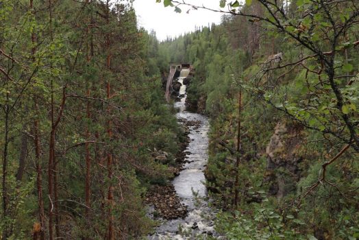 Auttiköngäs 2018 ( 16 m) Auttiköngäs 2018 ( 16 m)